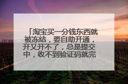淘宝买一分钱东西就被冻结,要自助开通,开又开不了,总是提交中,收不到验证码就完成不了验证