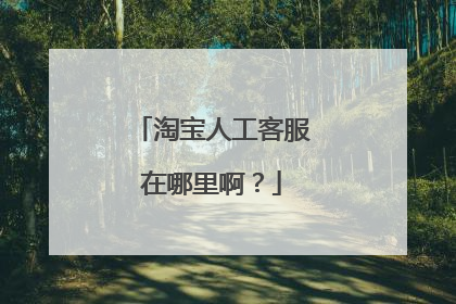 淘宝人工客服在哪里啊？