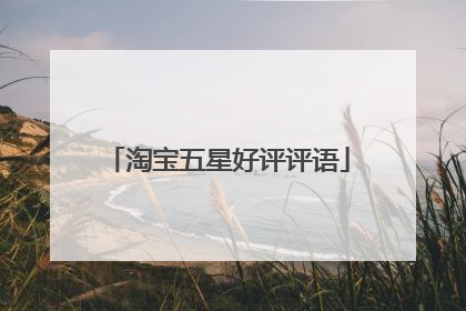 淘宝五星好评评语
