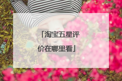 淘宝五星评价在哪里看
