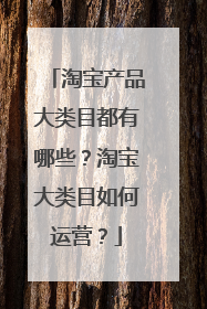 淘宝产品大类目都有哪些?淘宝大类目如何运营?
