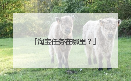 淘宝任务在哪里?