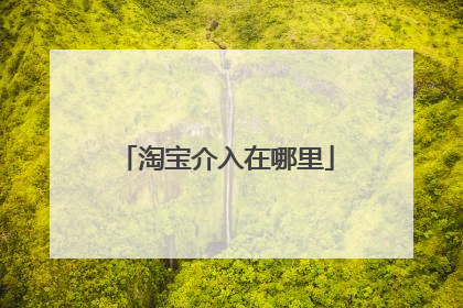 淘宝介入在哪里