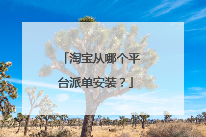 淘宝从哪个平台派单安装?