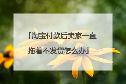 淘宝付款后卖家一直拖着不发货怎么办