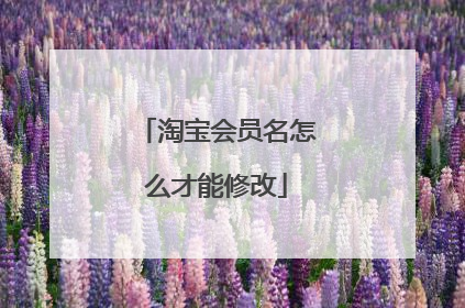 淘宝会员名怎么才能修改