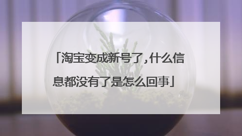 淘宝变成新号了,什么信息都没有了是怎么回事