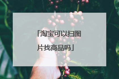 淘宝可以扫图片找商品吗