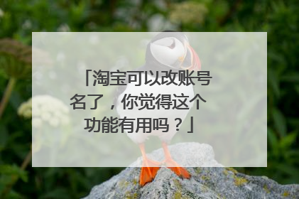 淘宝可以改账号名了,你觉得这个功能有用吗?
