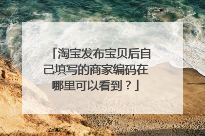 淘宝发布宝贝后自己填写的商家编码在哪里可以看到?