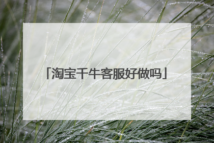 淘宝千牛客服好做吗