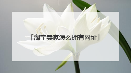 淘宝卖家怎么拥有网址