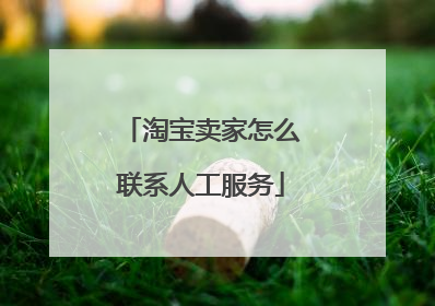 淘宝卖家怎么联系人工服务