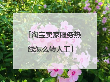 淘宝卖家服务热线怎么转人工