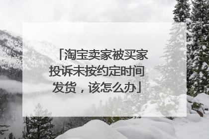 淘宝卖家被买家投诉未按约定时间发货，该怎么办
