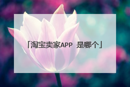 淘宝卖家APP 是哪个
