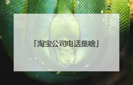 淘宝公司电话是啥