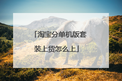 淘宝分单机版套装上货怎么上