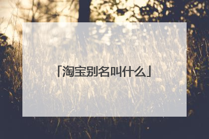 淘宝别名叫什么