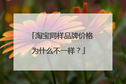 淘宝同样品牌价格为什么不一样?