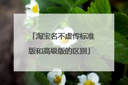 淘宝名不虚传标准版和高级版的区别