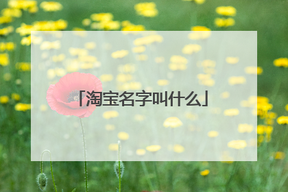 淘宝名字叫什么