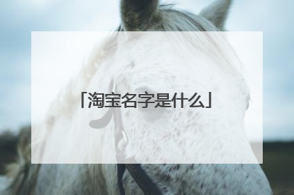 淘宝名字是什么