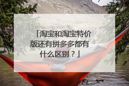 淘宝和淘宝特价版还有拼多多都有什么区别?