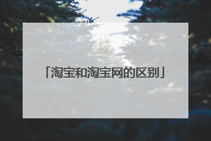 淘宝和淘宝网的区别