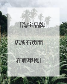 淘宝品牌店所有页面在哪里找