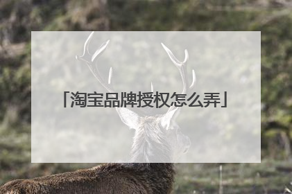 淘宝品牌授权怎么弄