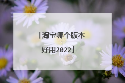 淘宝哪个版本好用2022