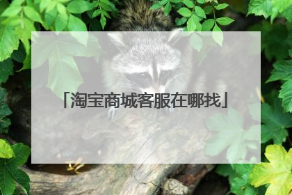 淘宝商城客服在哪找
