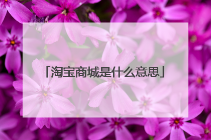 淘宝商城是什么意思