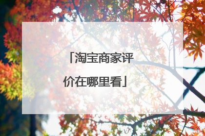 淘宝商家评价在哪里看