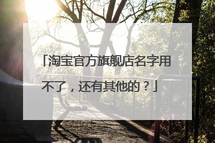 淘宝官方旗舰店名字用不了,还有其他的?
