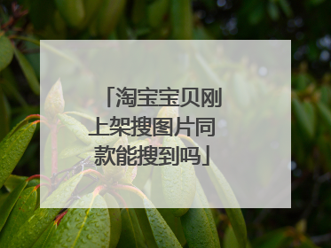 淘宝宝贝刚上架搜图片同款能搜到吗