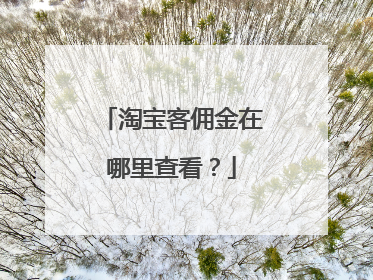 淘宝客佣金在哪里查看？