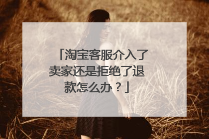 淘宝客服介入了卖家还是拒绝了退款怎么办?