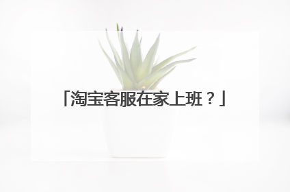 淘宝客服在家上班?