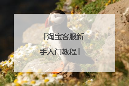淘宝客服新手入门教程