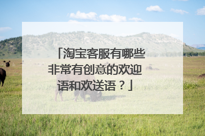 淘宝客服有哪些非常有创意的欢迎语和欢送语？