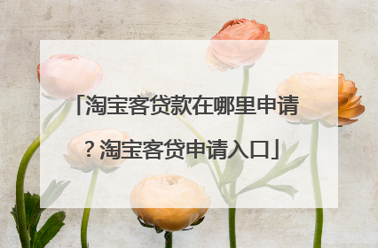 淘宝客贷款在哪里申请?淘宝客贷申请入口