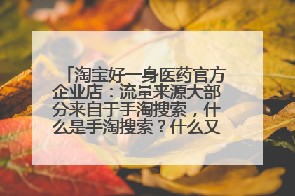 淘宝好一身医药官方企业店:流量来源大部分来自于手淘搜索,什么是手淘搜索?什么又是淘内免费?