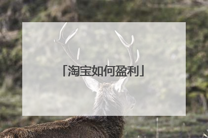 淘宝如何盈利