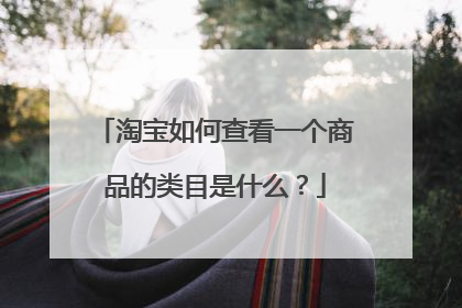 淘宝如何查看一个商品的类目是什么？