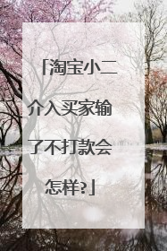 淘宝小二介入买家输了不打款会怎样?