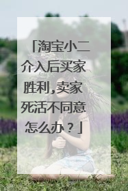 淘宝小二介入后买家胜利,卖家死活不同意怎么办?