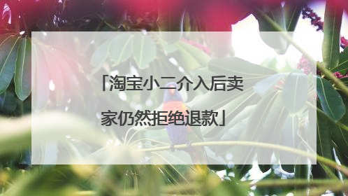 淘宝小二介入后卖家仍然拒绝退款