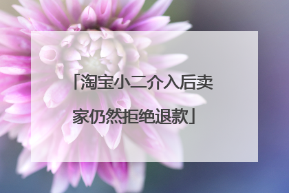 淘宝小二介入后卖家仍然拒绝退款